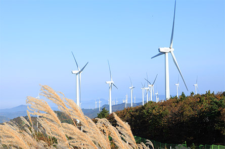 맹동산 풍력발전단지