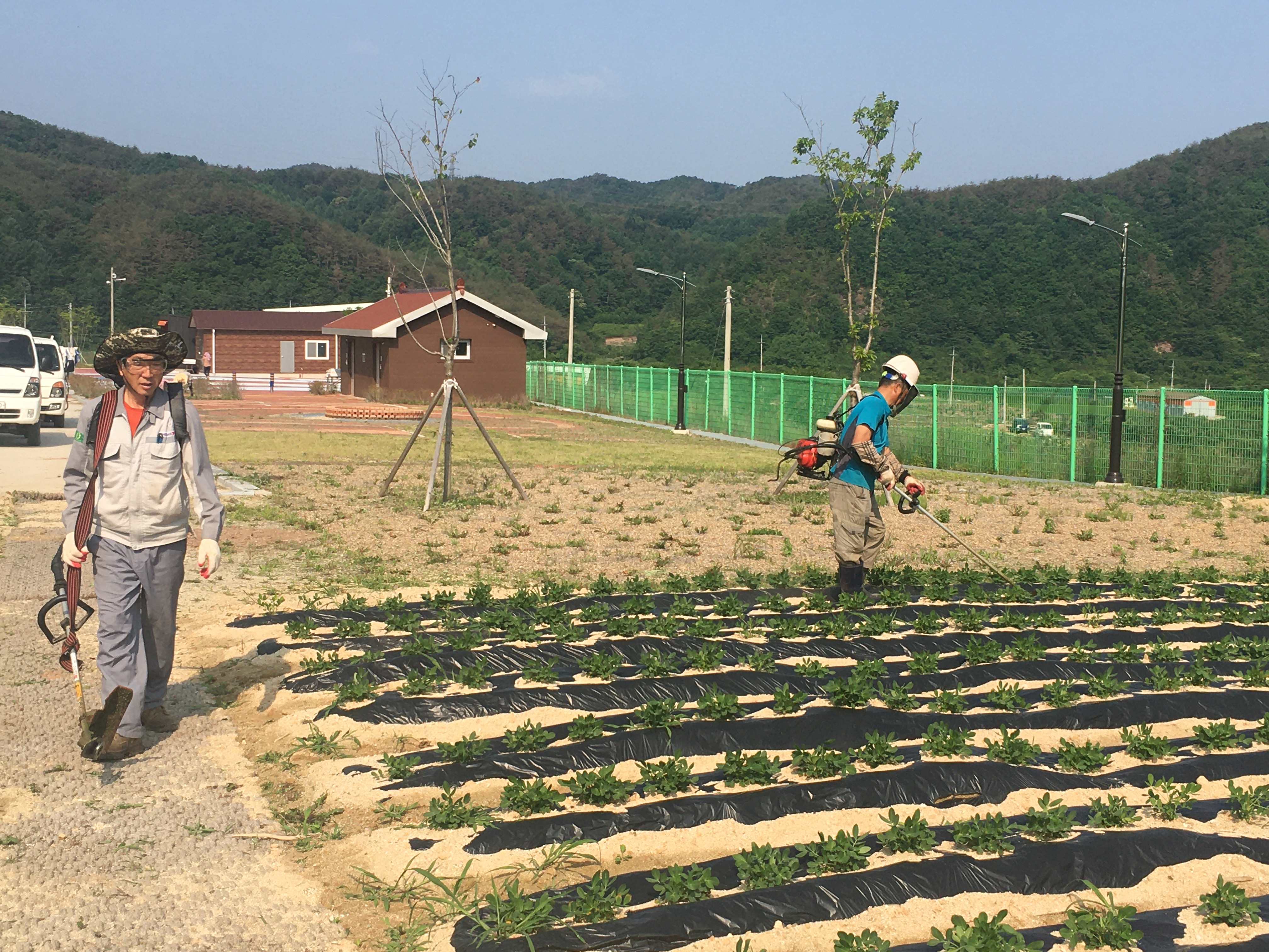 예초기로 주변 잡초제거!